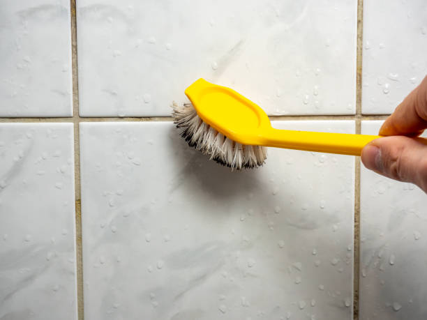 Best Commercial Mold Removal  in Splendora, TX