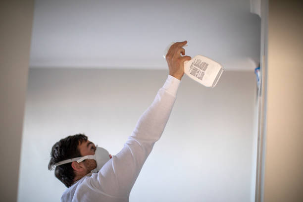 Best Mold Removal Company Near Me  in Splendora, TX