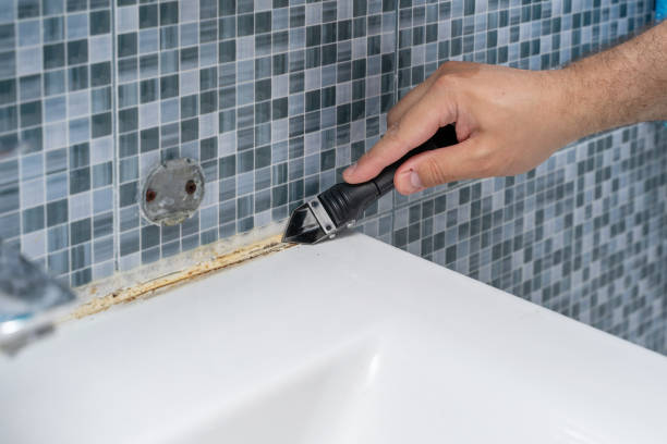 Best Fast Mold Removal  in Splendora, TX