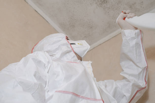 Best Local Mold Removal Service  in Splendora, TX