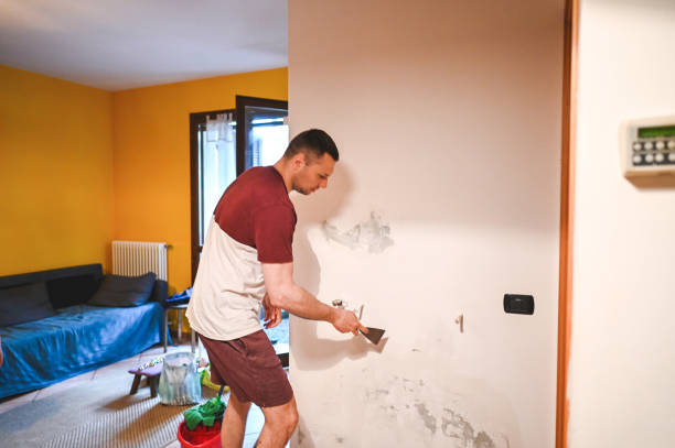 Best Home Mold Removal  in Splendora, TX